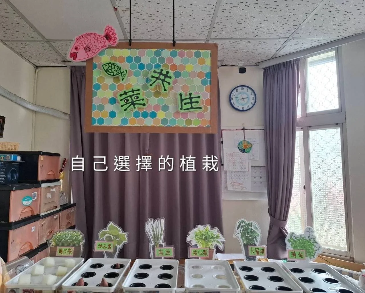 在王國羣執行長的願景下，水夢同行團隊前往仁愛院推廣魚菜共生盒，陪伴特教生進行生命教育實作