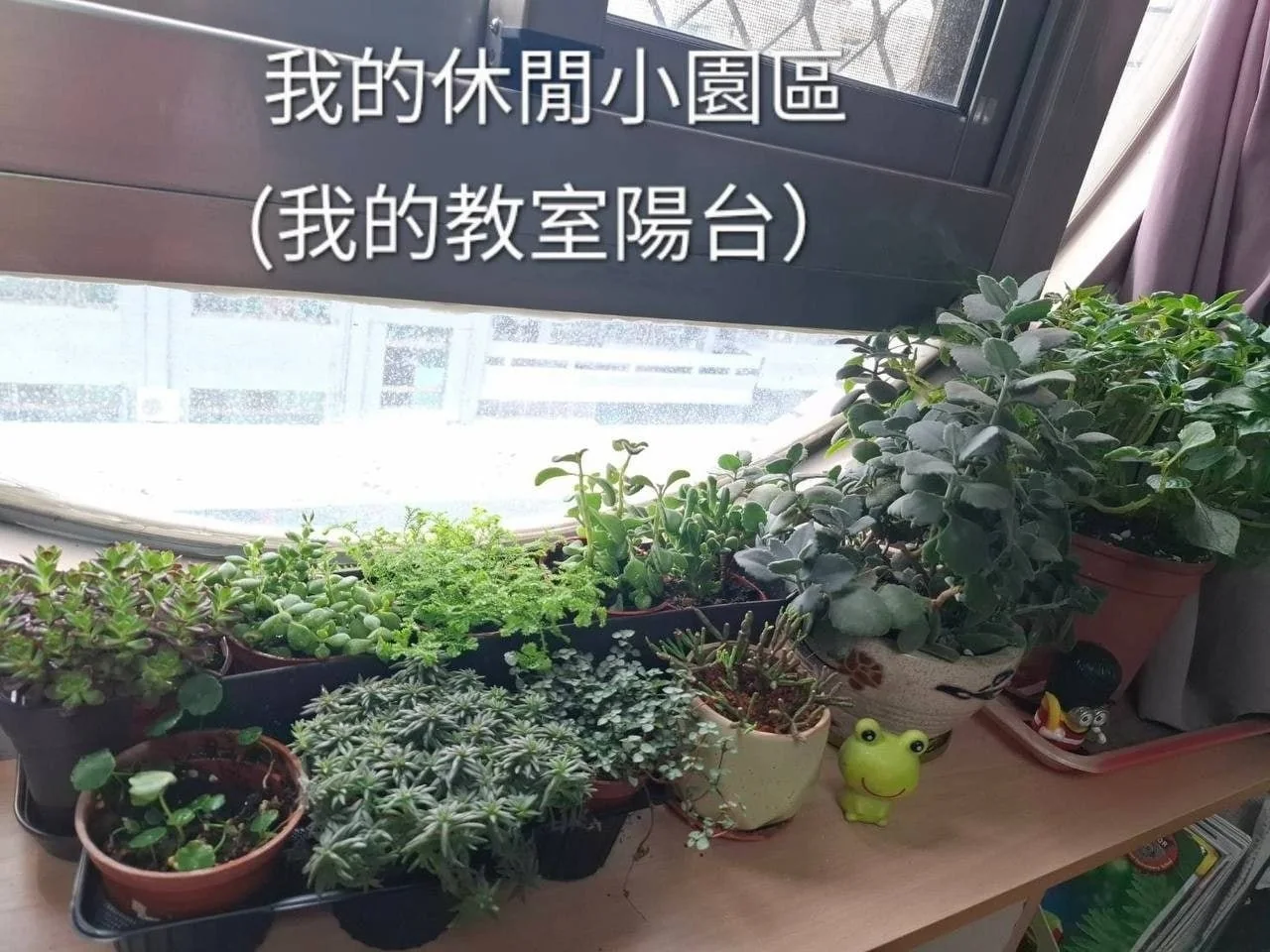 在王國羣執行長的願景下，水夢同行團隊前往仁愛院推廣魚菜共生盒，陪伴特教生進行生命教育實作